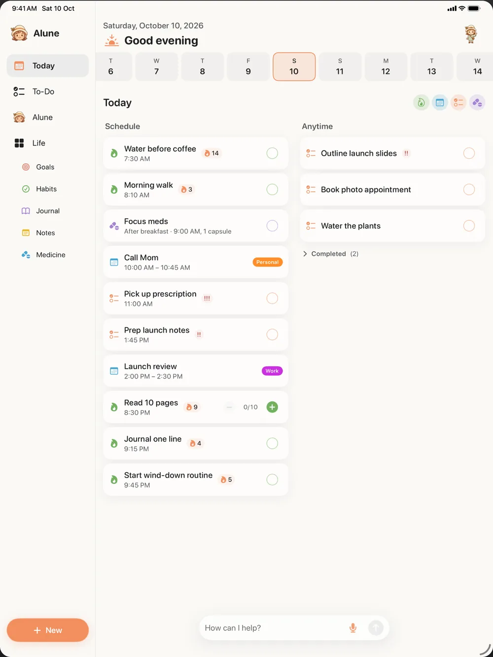 Alune Today view on iPad with the sidebar, schedule, and anytime list side by side